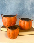 Pumpkin Planters -3 Sizes
