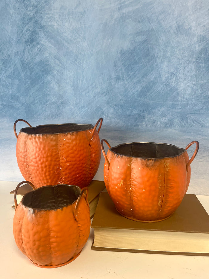 Pumpkin Planters -3 Sizes