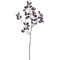 Purple Rosehip Spray