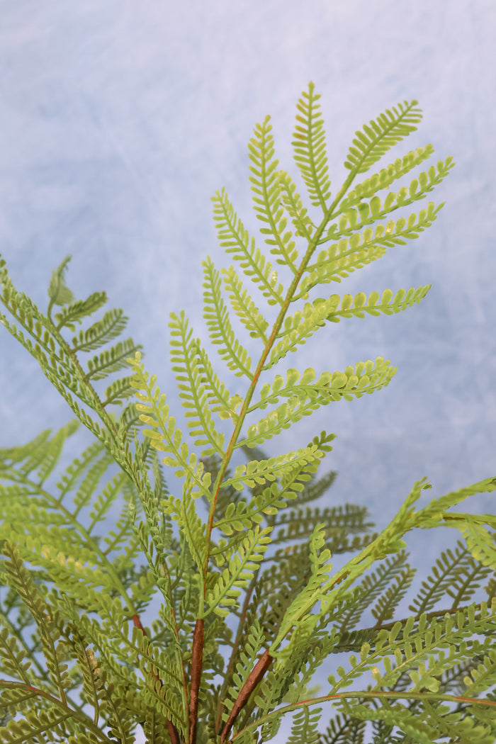 Real Touch Family Time Fern Bush
