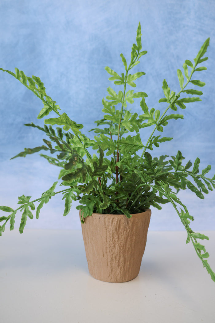 Real Touch Potted Fern Silk Plant