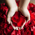 Red Rose Petals Wholesale