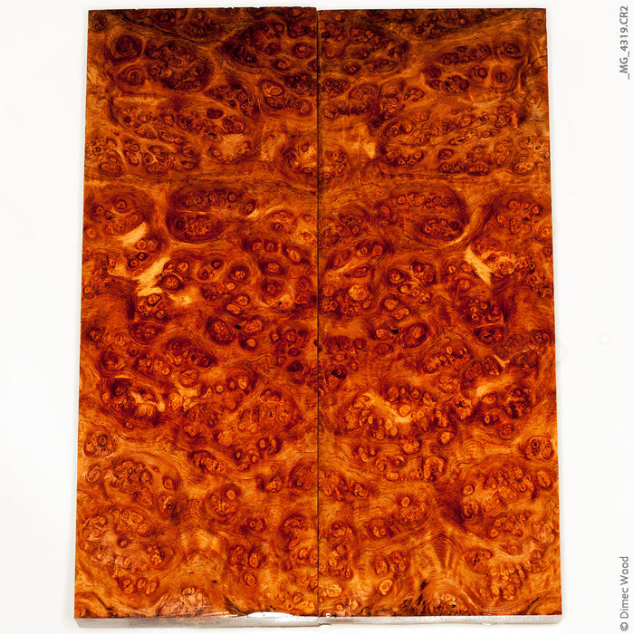 Stabilized golden amboyna burl wood panels