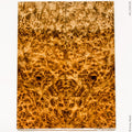 Stabilized golden amboyna burl wood panels