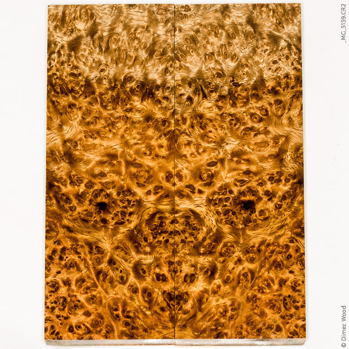 Stabilized golden amboyna burl wood panels
