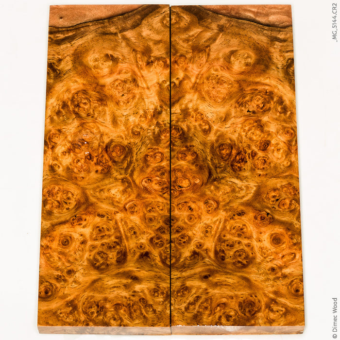 Stabilized golden amboyna burl wood panels