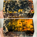 Stabilized wood box elder burl block