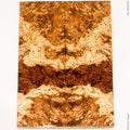 Stabilized wood box elder burl panels