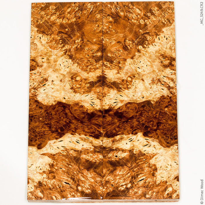 Stabilized wood box elder burl panels