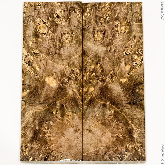 Stabilized wood box elder burl panels