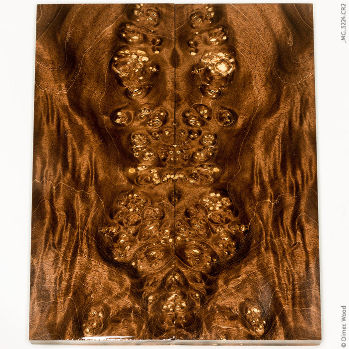 Stabilized wood box elder burl panels