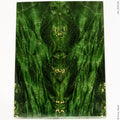 Stabilized wood box elder burl panels