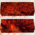 Stabilized wood golden amboyna burl block