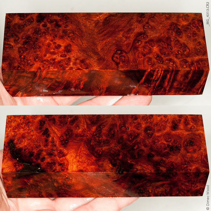 Stabilized wood golden amboyna burl block