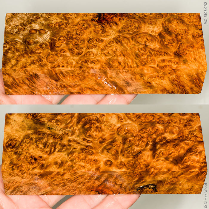 Stabilized wood golden amboyna burl block