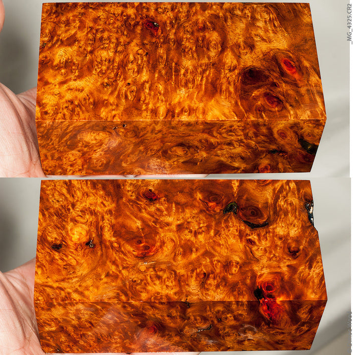 Stabilized wood golden amboyna burl block