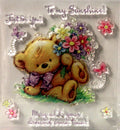 Teddy Just For You Clear Stamps Set