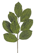 Velvet Magnolia Leaf Spray