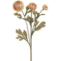 Warm Beige Ranunculus Spray