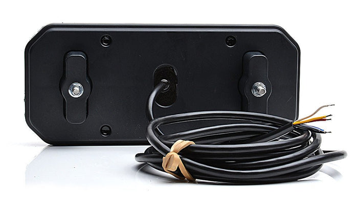 W150 Rear combination lampStop, tail, dynamic indicator, reverse, rear fog1111 L/PWASSRH Lighting