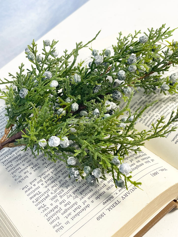 Winter Story Juniper Spray