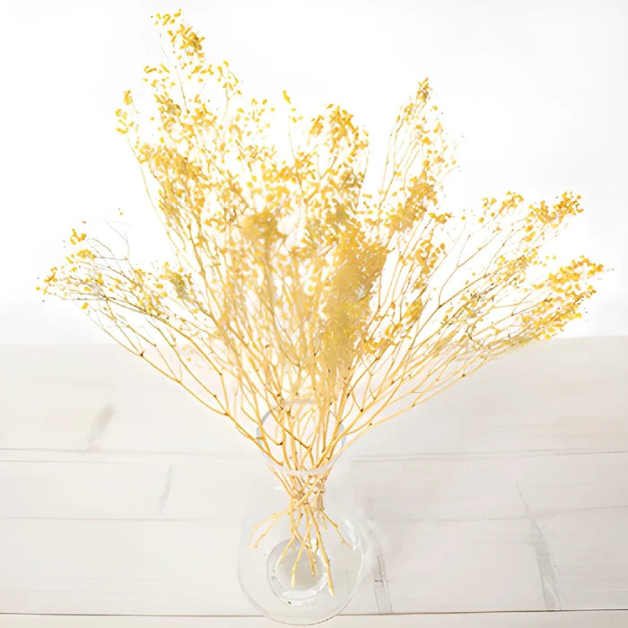 Yellow Dried Baby's Breath Flower
